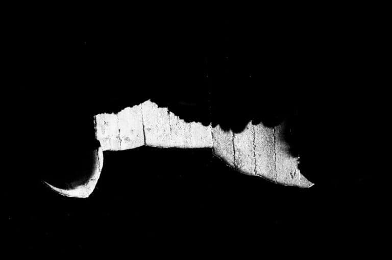 BLANCO Y NEGRO VII - José María Lamo de Espinosa