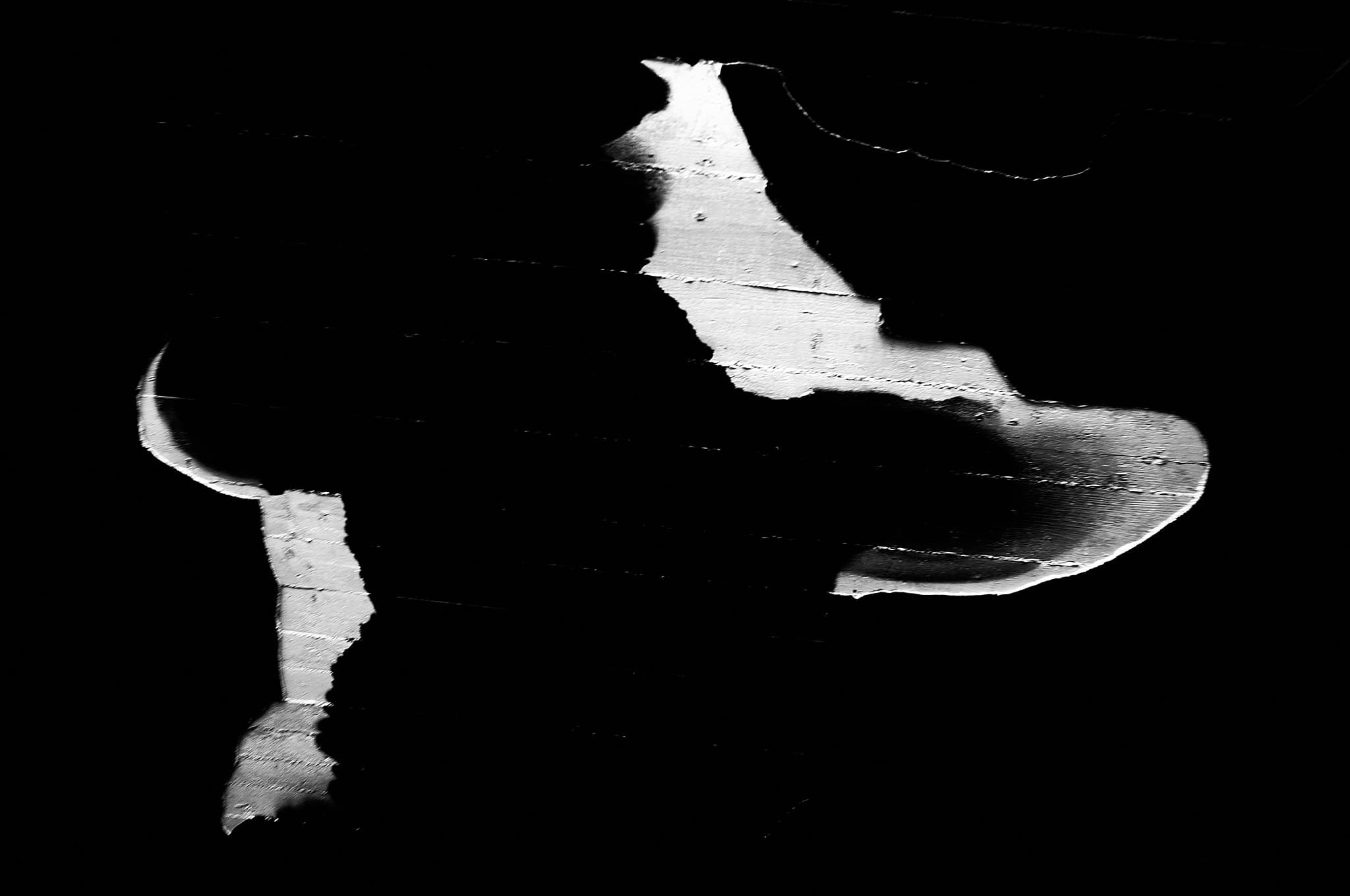 BLANCO Y NEGRO V - José María Lamo de Espinosa