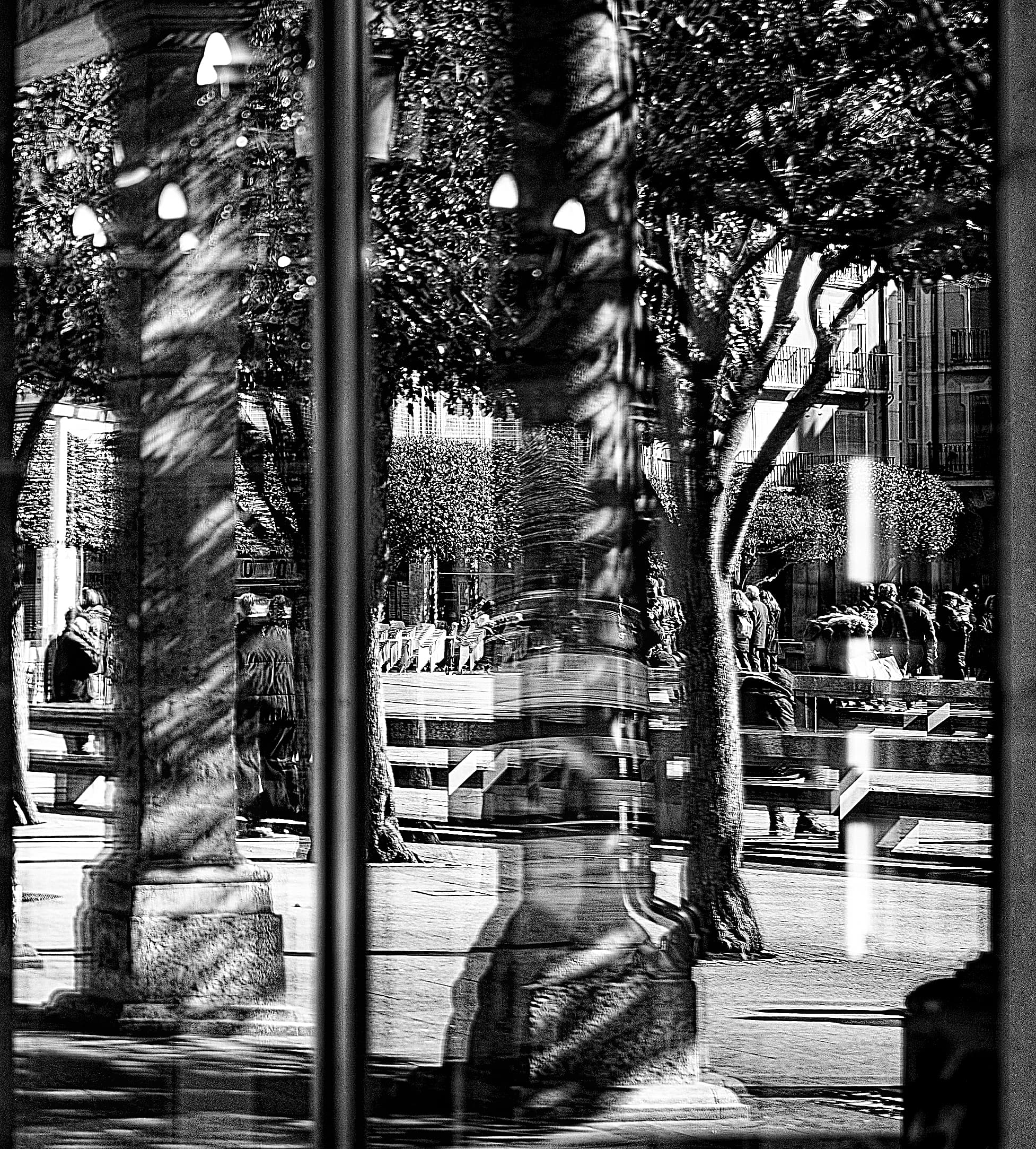 UNA CALLE MOVIDA - José María Lamo de Espinosa