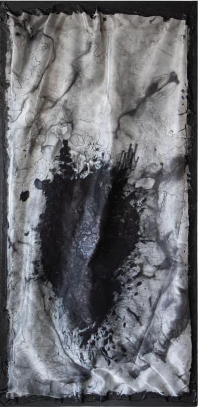 TRANSPARENCIAS I - Roxana Albanese