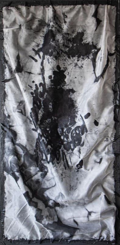 TRANSPARENCIAS II - Roxana Albanese